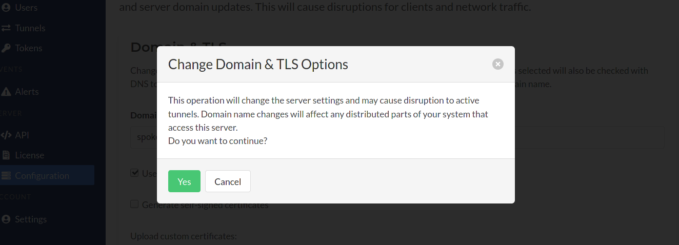 Confirm Domain & TLS Changes